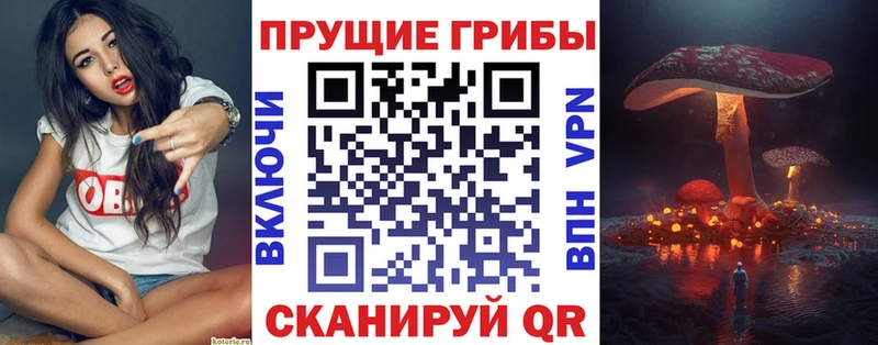 KRAKEN вход  Нурлат  Псилоцибиновые грибы Magic Shrooms 